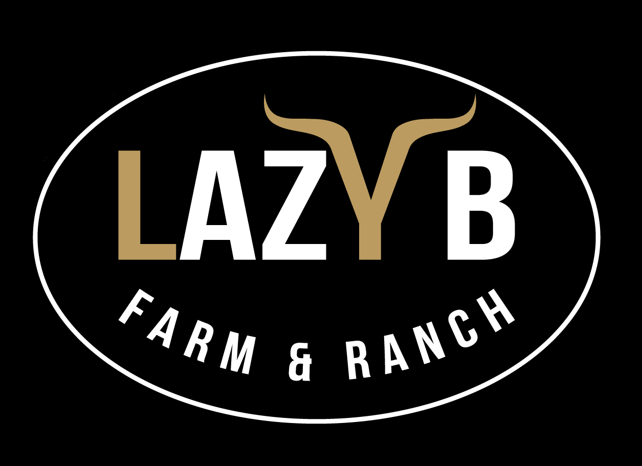 Welcome to the Lazy B